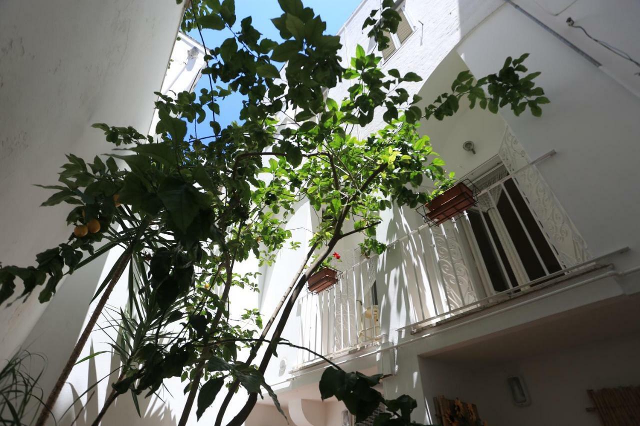 Il Cedrangolo House Tree Монополи Экстерьер фото
